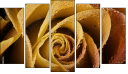 Pentaptych