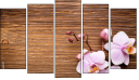 Pentaptych