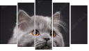 Pentaptych
