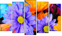 Pentaptych