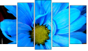Pentaptych