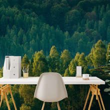 Hlubina-lesa-s-vyhledem-na-stromy-fototapety-krajin-fototapety-demural