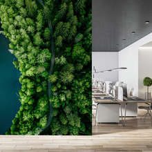 Lesni-stezka-podel-vody-z-ptaci-perspektivy-fototapety-do-kancelare-fototapety-demural