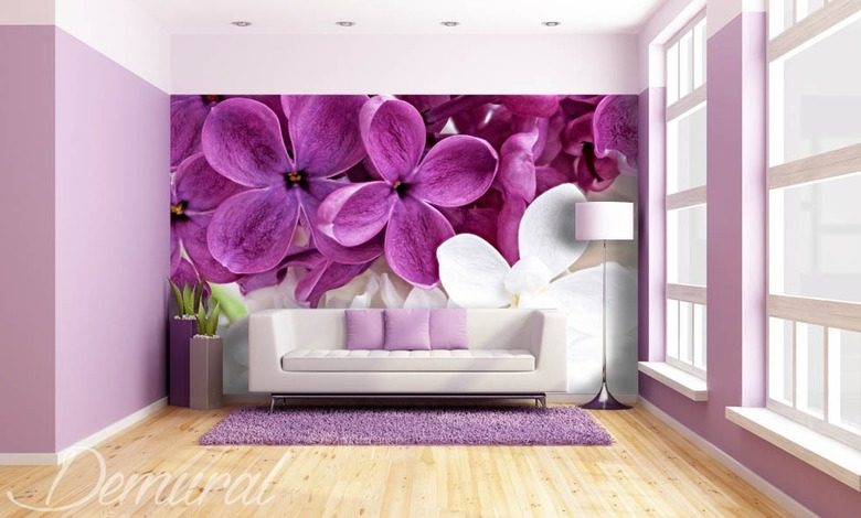 pokojova violka fototapety kvetiny fototapety demural