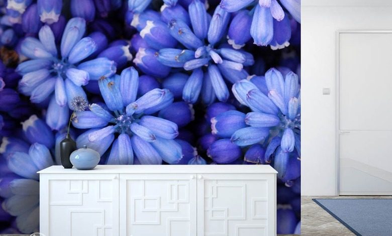 kralovsky modra fototapety kvetiny fototapety demural