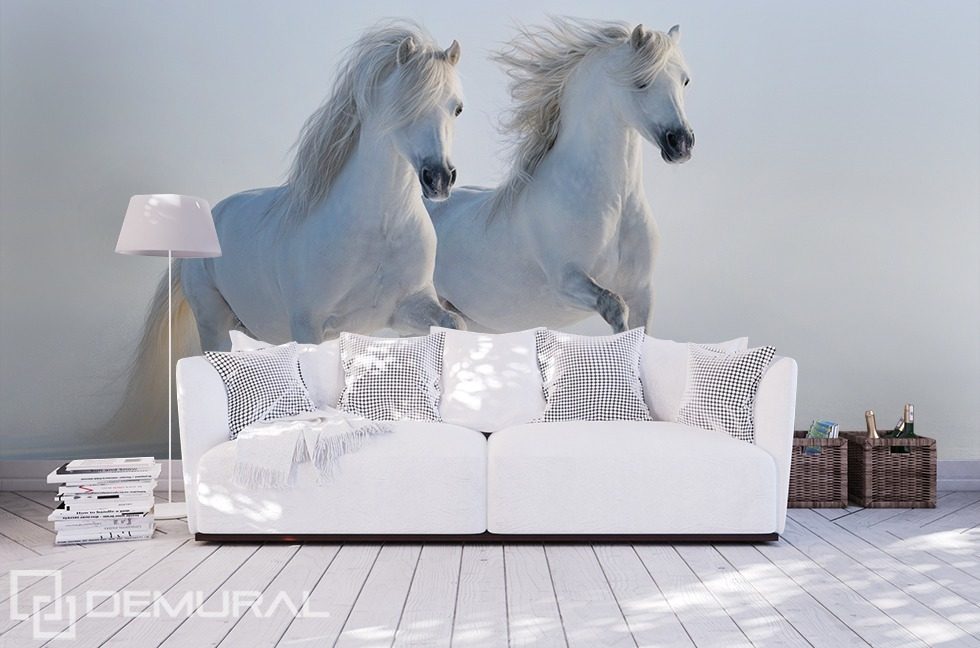 Bílí koně Fototapety Zvířata Fototapety Demural