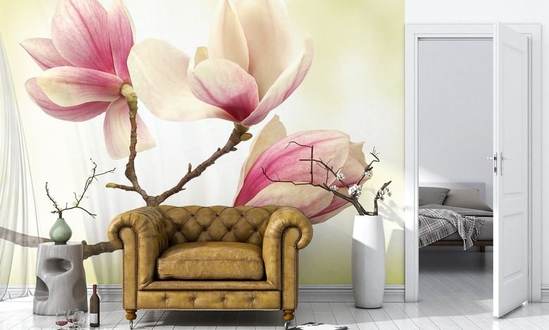magnolie vyssi stupen delikatnosti fototapety kvetiny fototapety demural