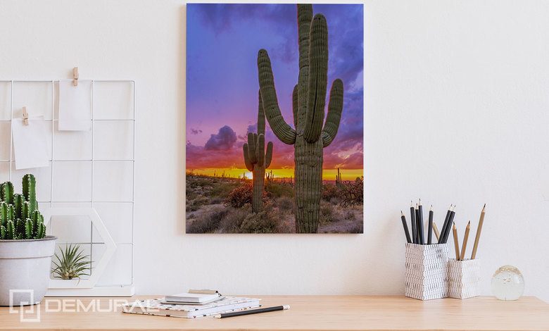 zapad slunce nad kaktusovym udolim kancelar obrazy demural