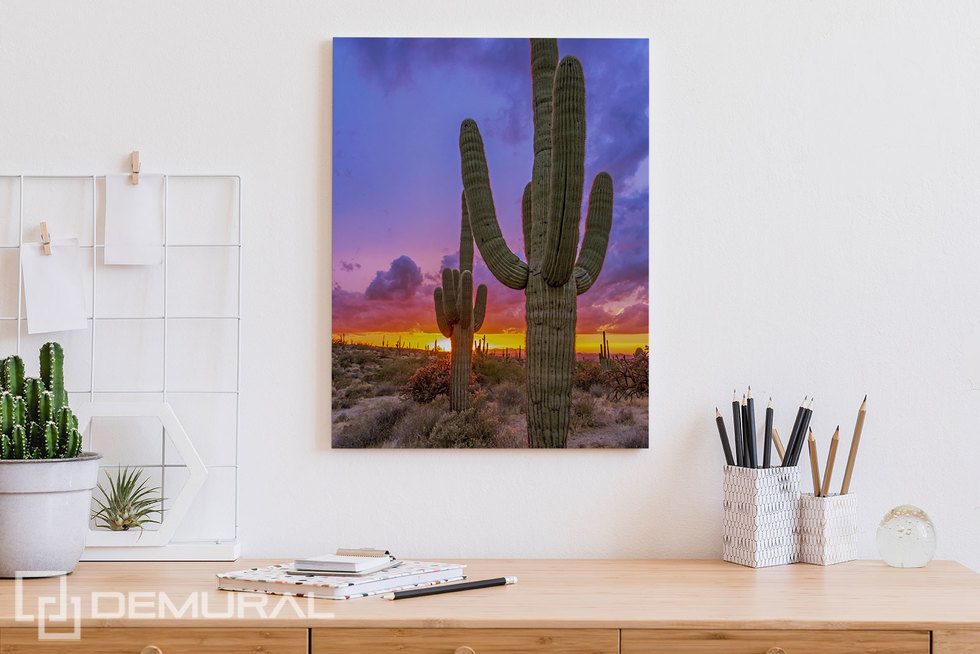 Západ slunce nad kaktusovým údolím Kancelář Obrazy Demural