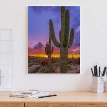 Zapad-slunce-nad-kaktusovym-udolim-kancelar-obrazy-demural