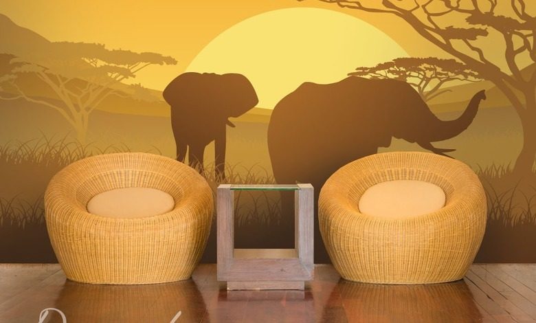 sloni na safari fototapety krajin fototapety demural